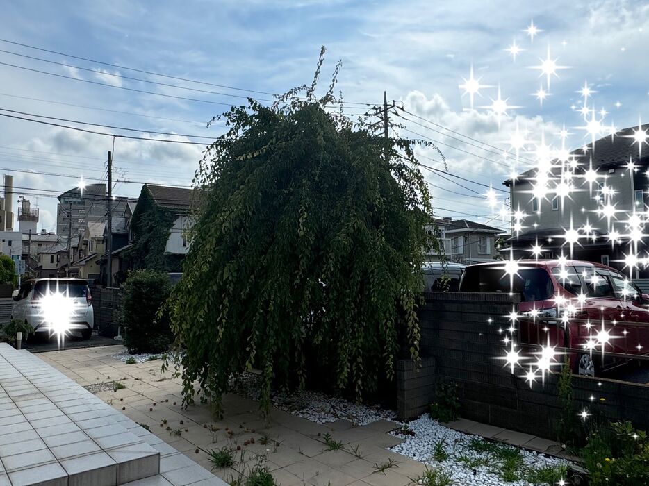 ブログ画像