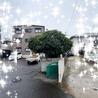 ブログ画像