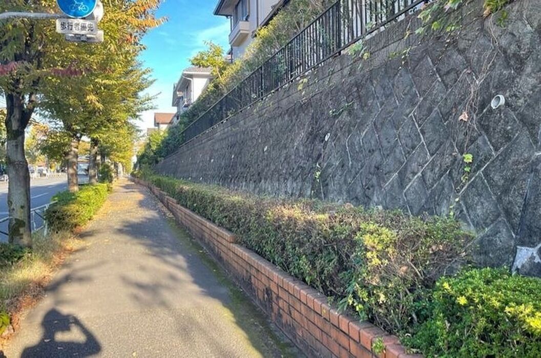 ブログ画像