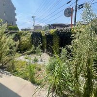 ブログ画像