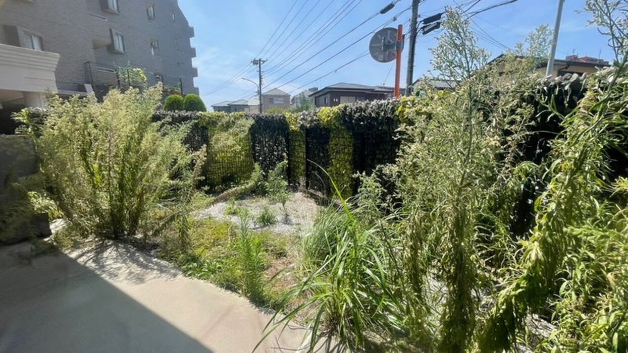ブログ画像