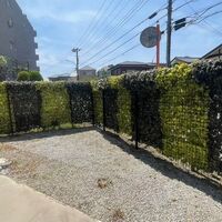 ブログ画像