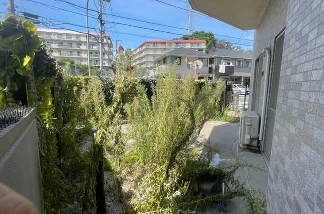 ブログ画像