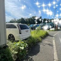 ブログ画像