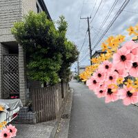 ブログ画像