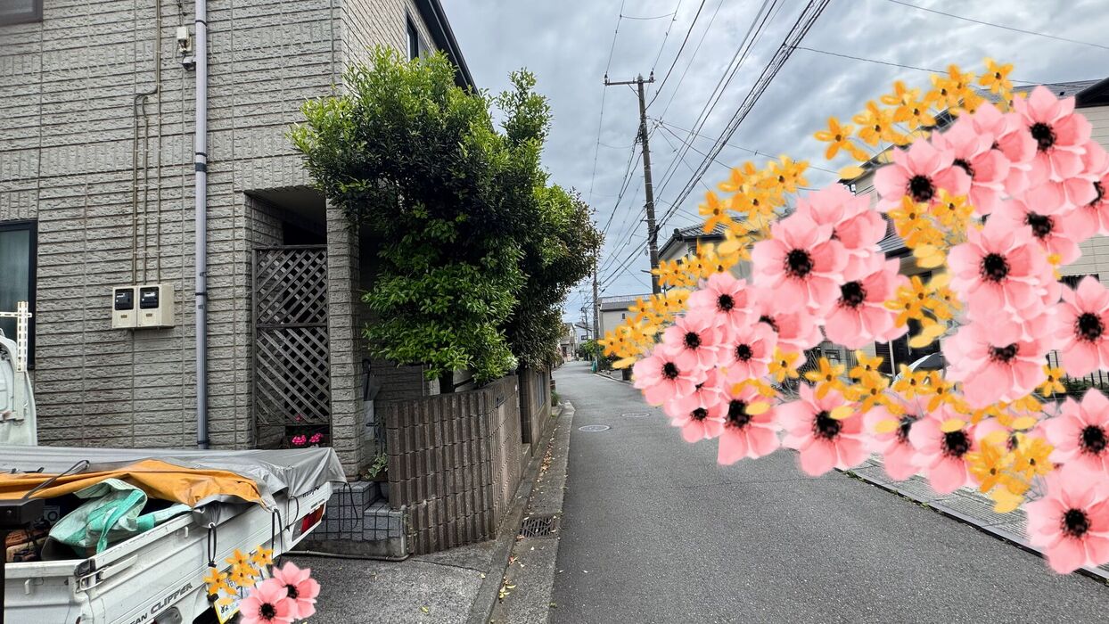 ブログ画像