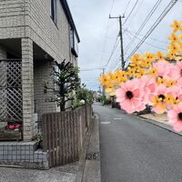 ブログ画像