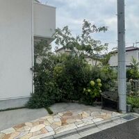 ブログ画像