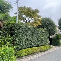 ブログ画像