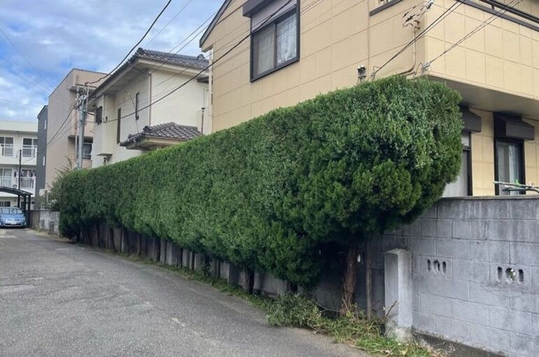 ブログ画像