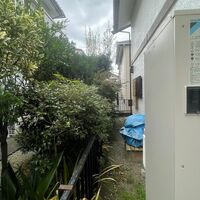 ブログ画像