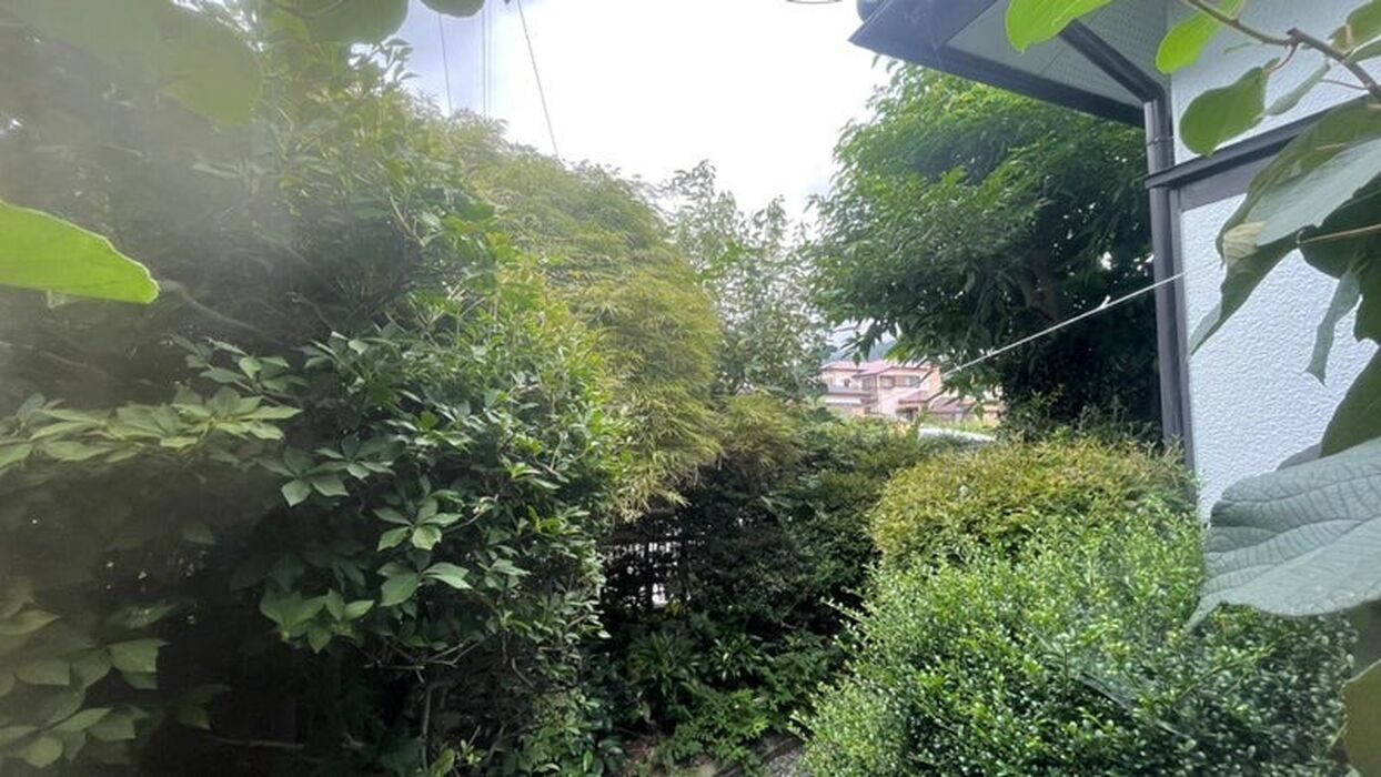 ブログ画像
