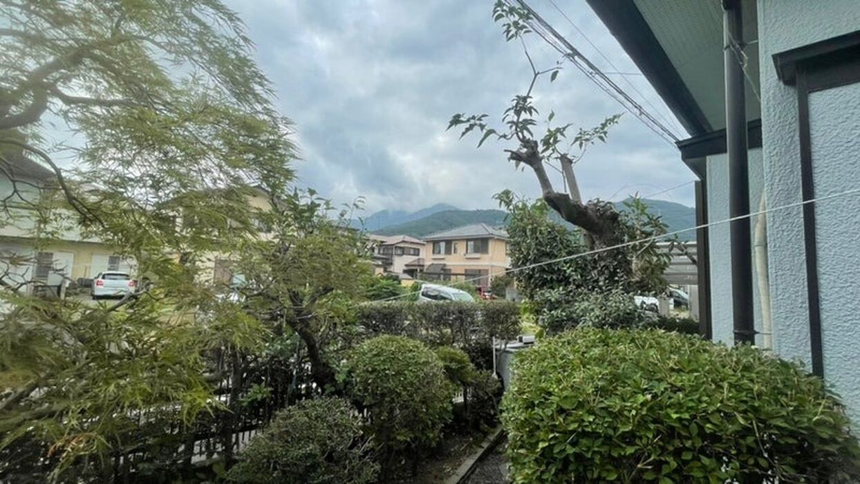 ブログ画像