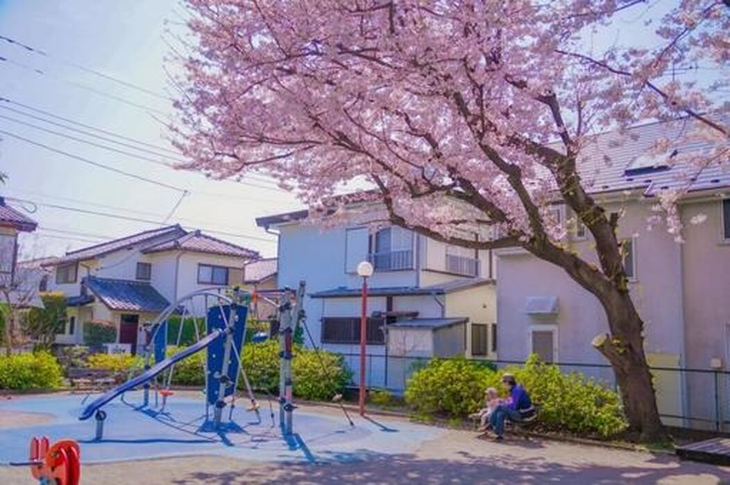 ブログ画像