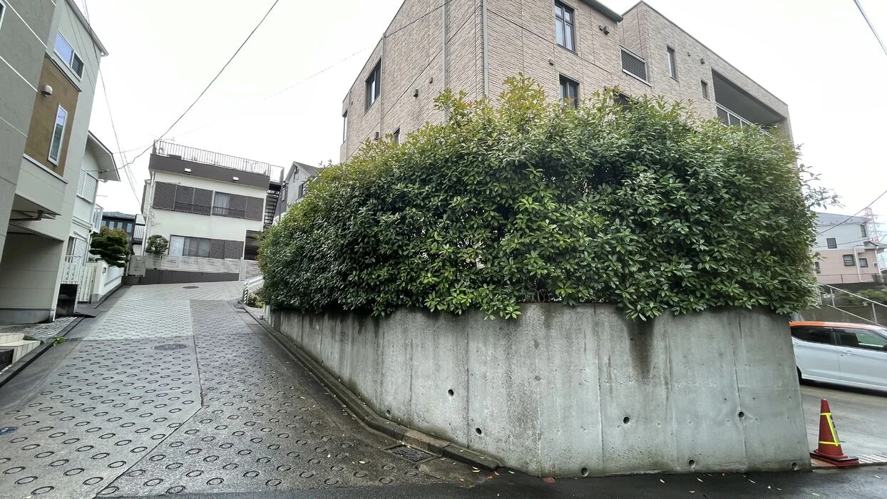 ブログ画像