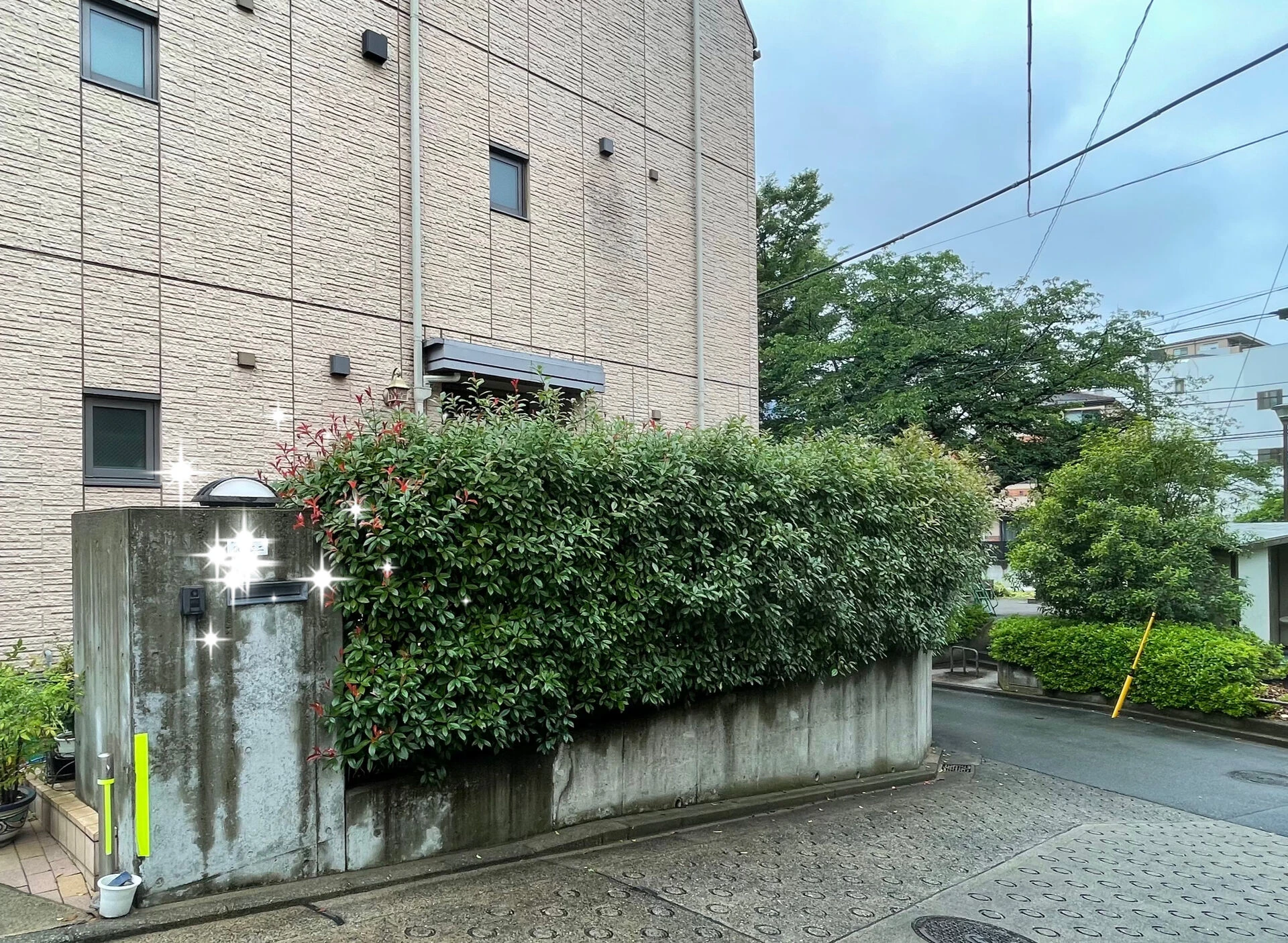 ブログ画像