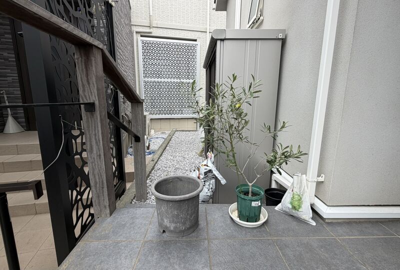 画像6026：【オリーブ植え替え】夏の成長に備えて鉢増し作業を実施！（横浜市泉区）