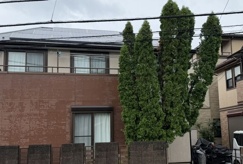 画像6111：【カイズカイブキ強剪定】電線まで伸びた庭木を高さ調整！住宅街でも安心の頭詰め剪定✨（神奈川県大和市）