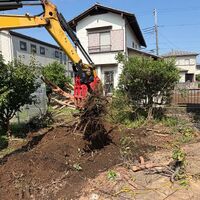 ブログ画像